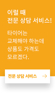 전문 상담 서비스